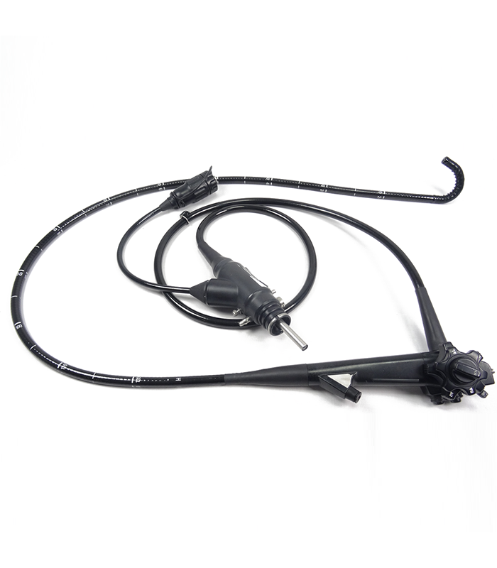 EG-590WR, EG-590ZW