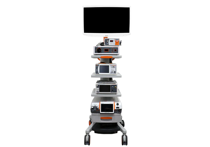 Media 4aeb249a 33db 44bf 8a53 6b83c7fe1100 700x A0x4b3BZLai2nVo7